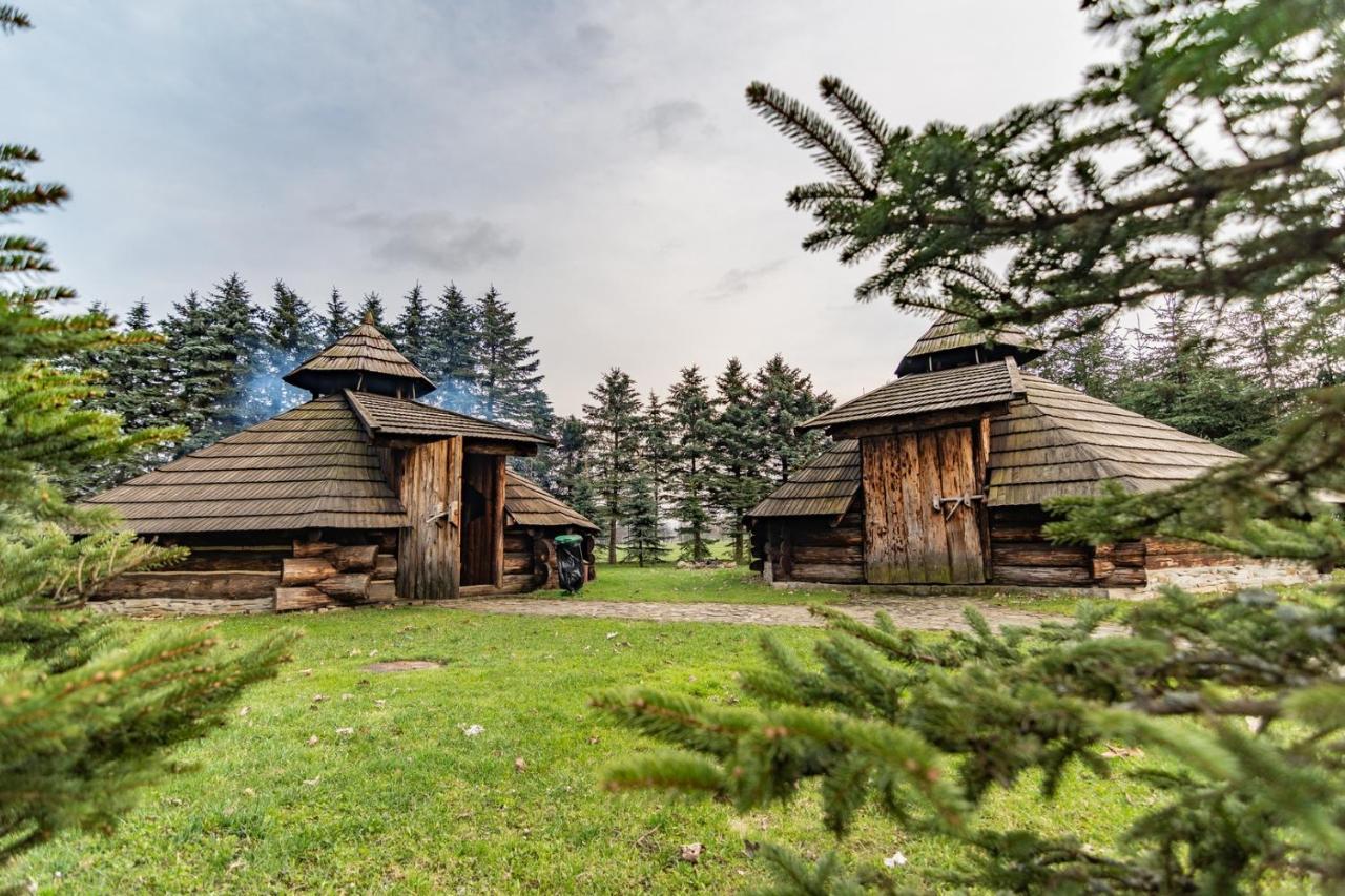 Dom Sportowca Blonie - Mosir Hotel Sanok